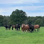 Dymnica 5- Dom Wakacyjny Dla Rodzin I Grup Do 10 Osob, Sauna, Balia, Ognisko Ulinia