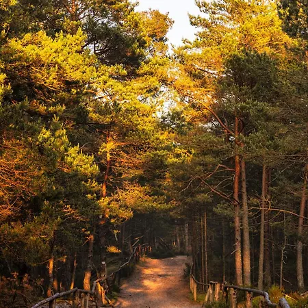 Dymnica 5- Blisko Sasina I Leby *