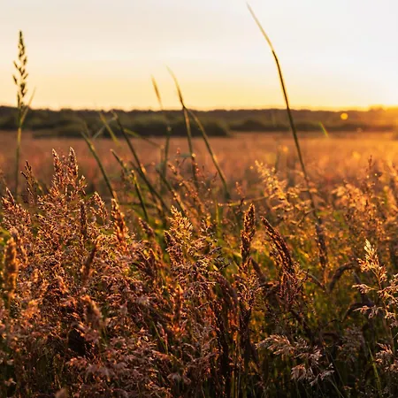 Dymnica 5- Blisko Sasina I Leby Ulinia
