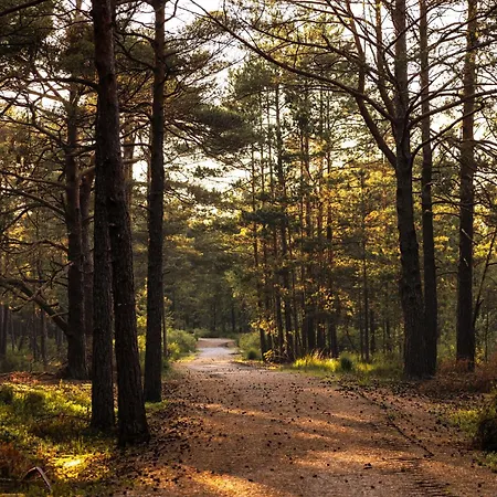 Dymnica 5 Tatil Evi *