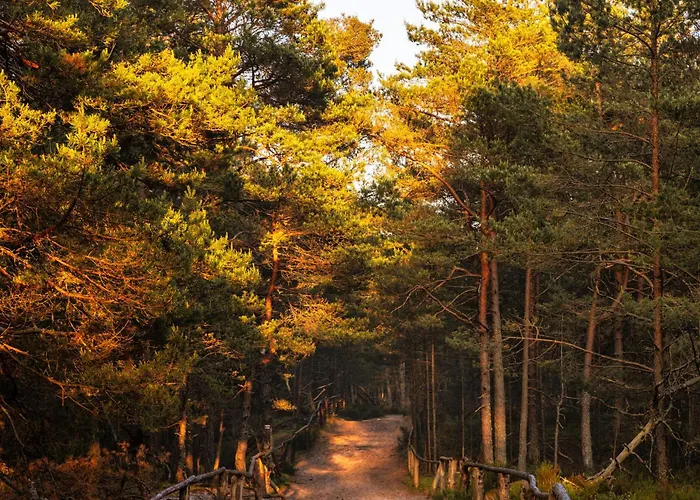 Dymnica 5- Blisko Sasina I Leby *