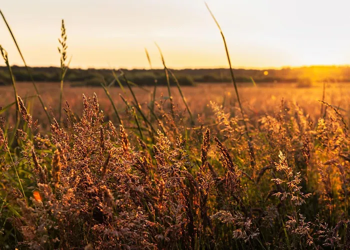 Dymnica 5- Blisko Sasina I Leby Ulinia