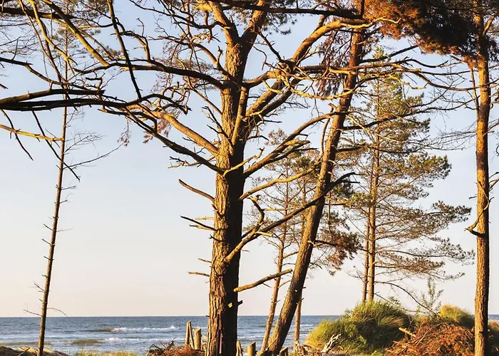 Dymnica 5- Blisko Sasina I Leby