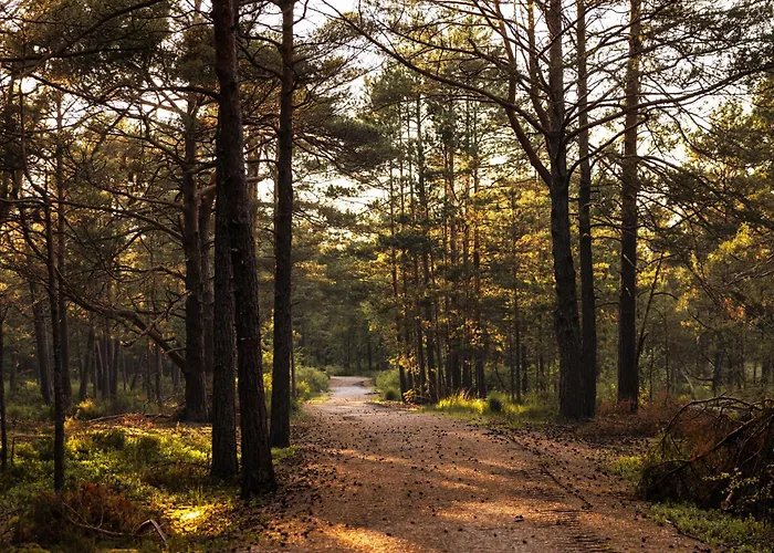 Dymnica 5- Blisko Sasina I Leby Σπίτι διακοπών *
