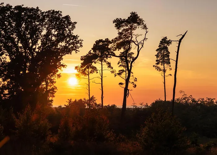 Dymnica 5- Blisko Sasina I Leby *